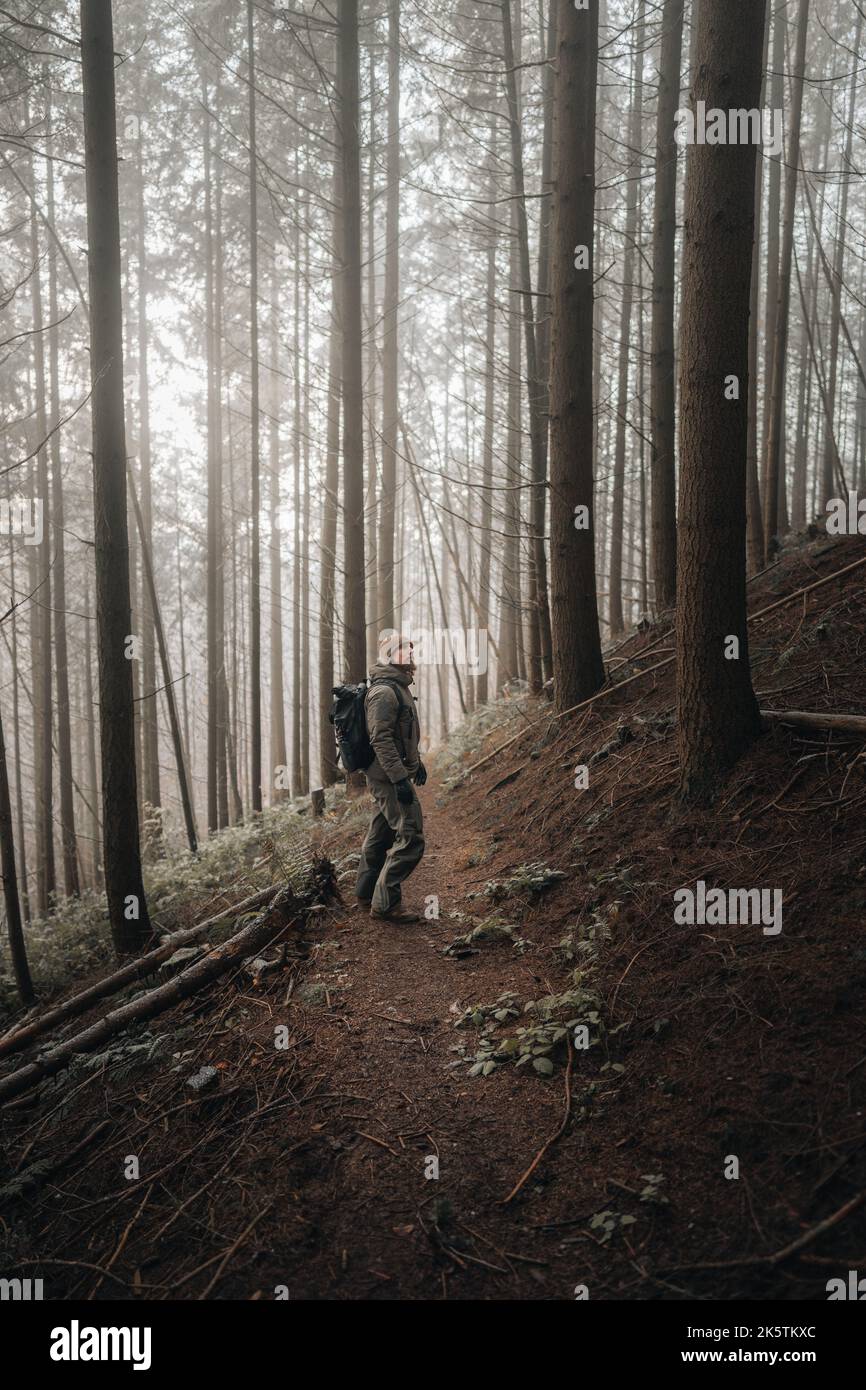 Ein Mensch, der im Waldweg steht und von dichten Bäumen umgeben ist Stockfoto