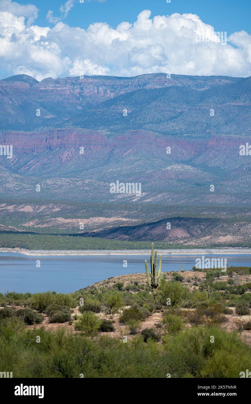 Mit Blick auf ein Tal im Tonto National Forest, Arizona Stockfoto