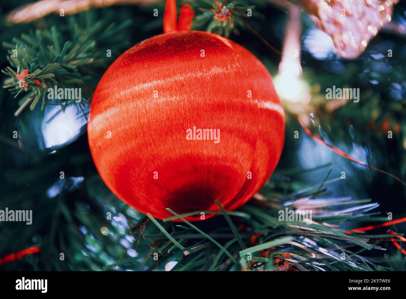 Lebhaft roter Weihnachtsbaum Spielzeugball auf dem Fichtenzweig im Innenraum. Hintergründe zum neuen Jahr Stockfoto