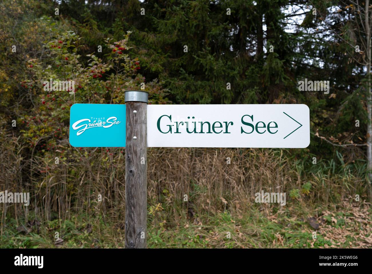 Wegweiser am Grünen See in St. Katharein Tragöß, Steiermark, Österreich Stockfoto