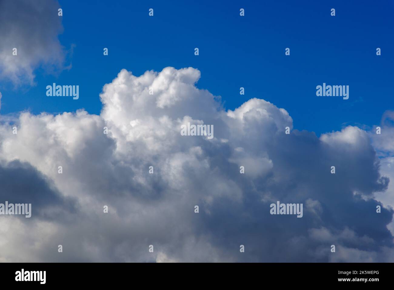Cumulus gegen einen blauen Himmel Stockfoto