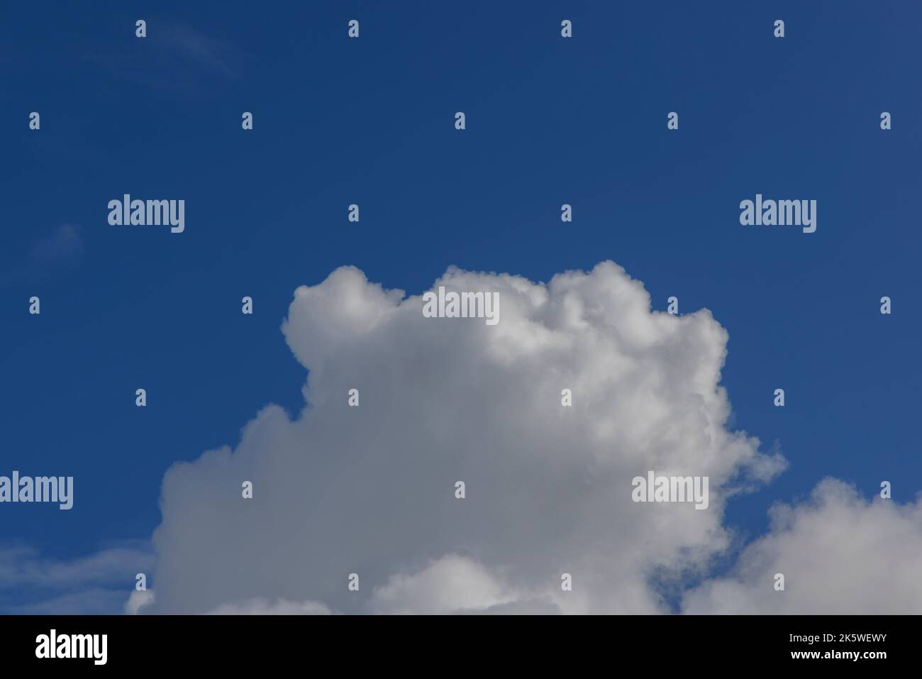 Cumulus gegen einen blauen Himmel Stockfoto