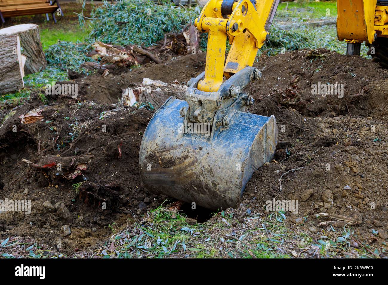 Arbeiten Bulldozer Wurzeln stumpf Entfernung von Baum, der geschnitten wurde Clearing Land Stockfoto