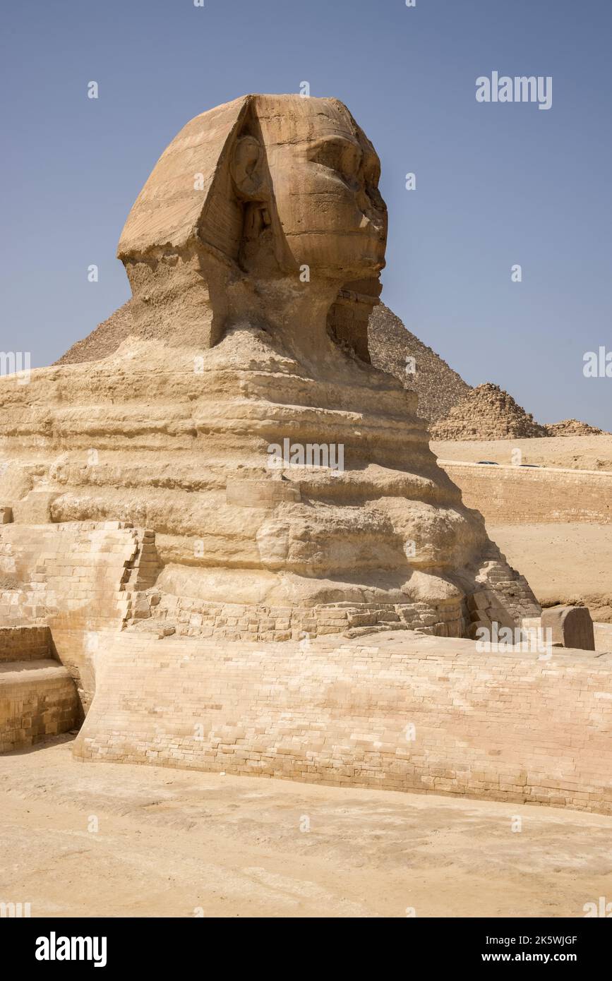 Die große Sphinx von gizeh eine 4500 Jahre alte Kalksteinskulptur auf dem gizeh-Hochplateau am Westufer des nils in ägypten Stockfoto