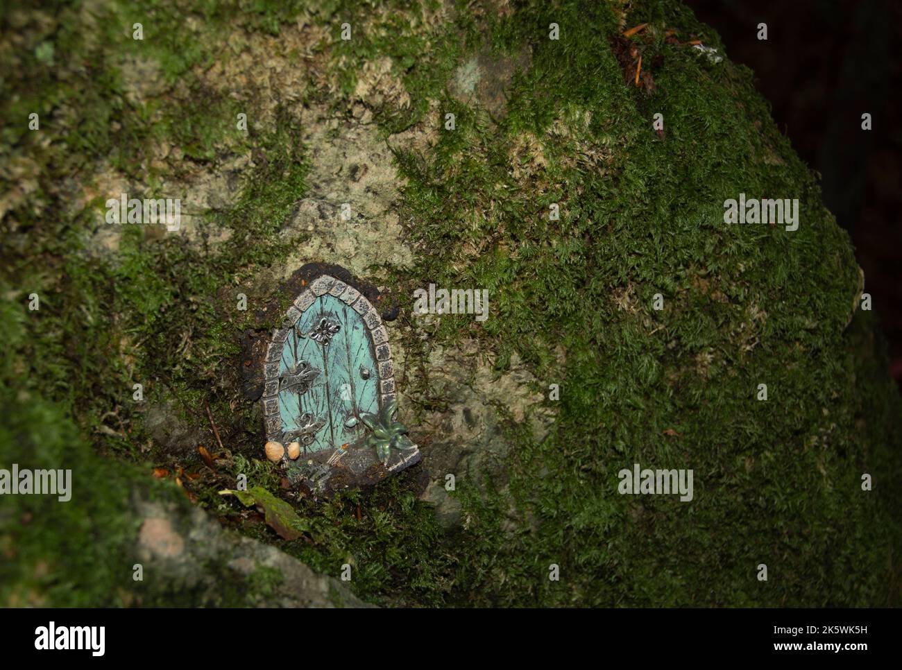 Feenhäuser in einem dunklen Wald. Stockfoto