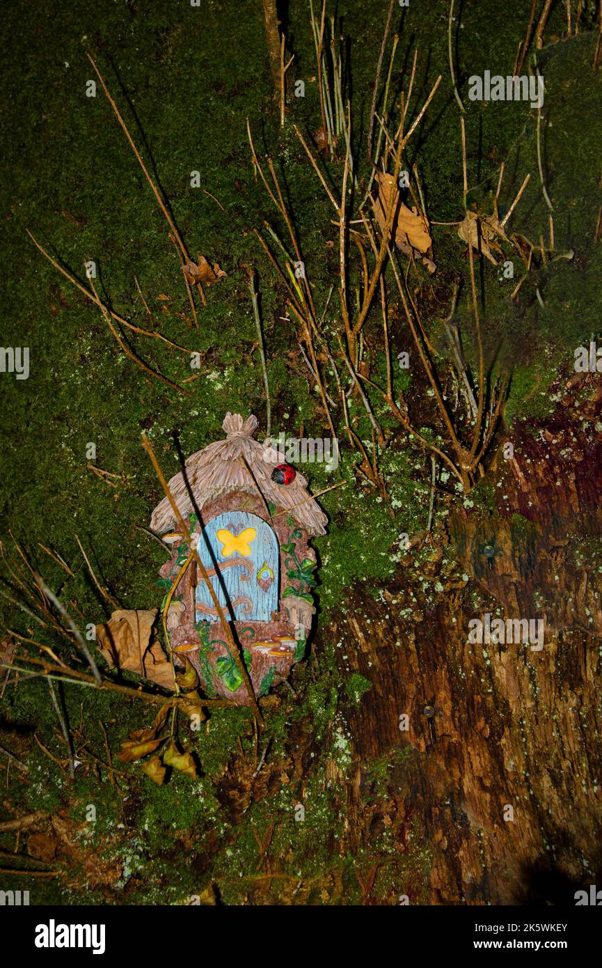 Feenhäuser in einem dunklen Wald. Stockfoto