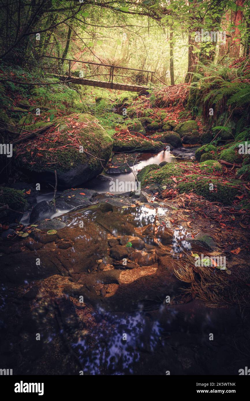 Waldflüsse und Wasserfälle im Herbst. Gondomar, Galicien, Spanien Stockfoto