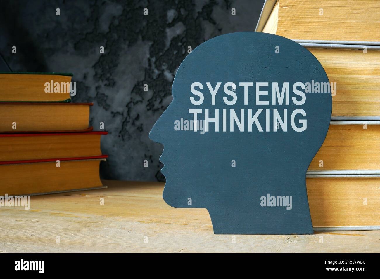 Systeme denken Zeichen auf dem Kopf Form und Bücher. Stockfoto