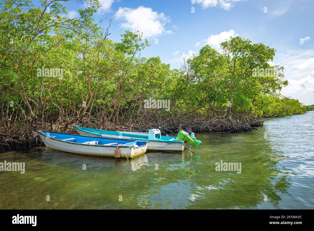 Boot ruhen Mangroven Strand Meer Angeln tropischen Tobago entspannende Aussicht Stockfoto