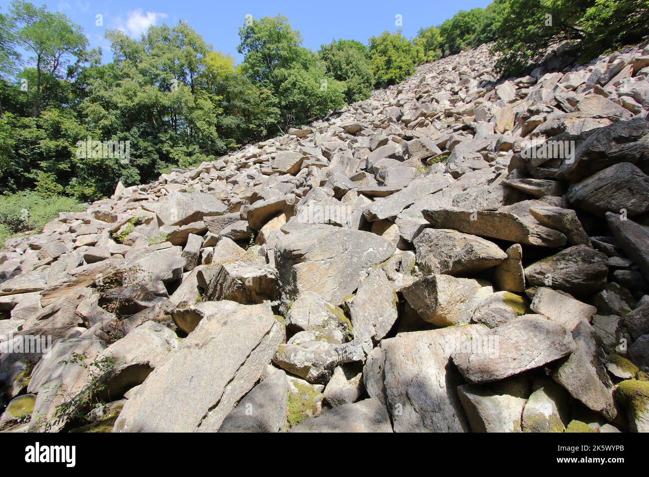 Ein Blockfeld, Blockfeld, Felsenmeer, Boulderfeld oder Steinfeld ist eine Oberfläche, die von einem Felsblock aus dem Nationalpark Podyjí in der Tschechischen Republik bedeckt ist Stockfoto