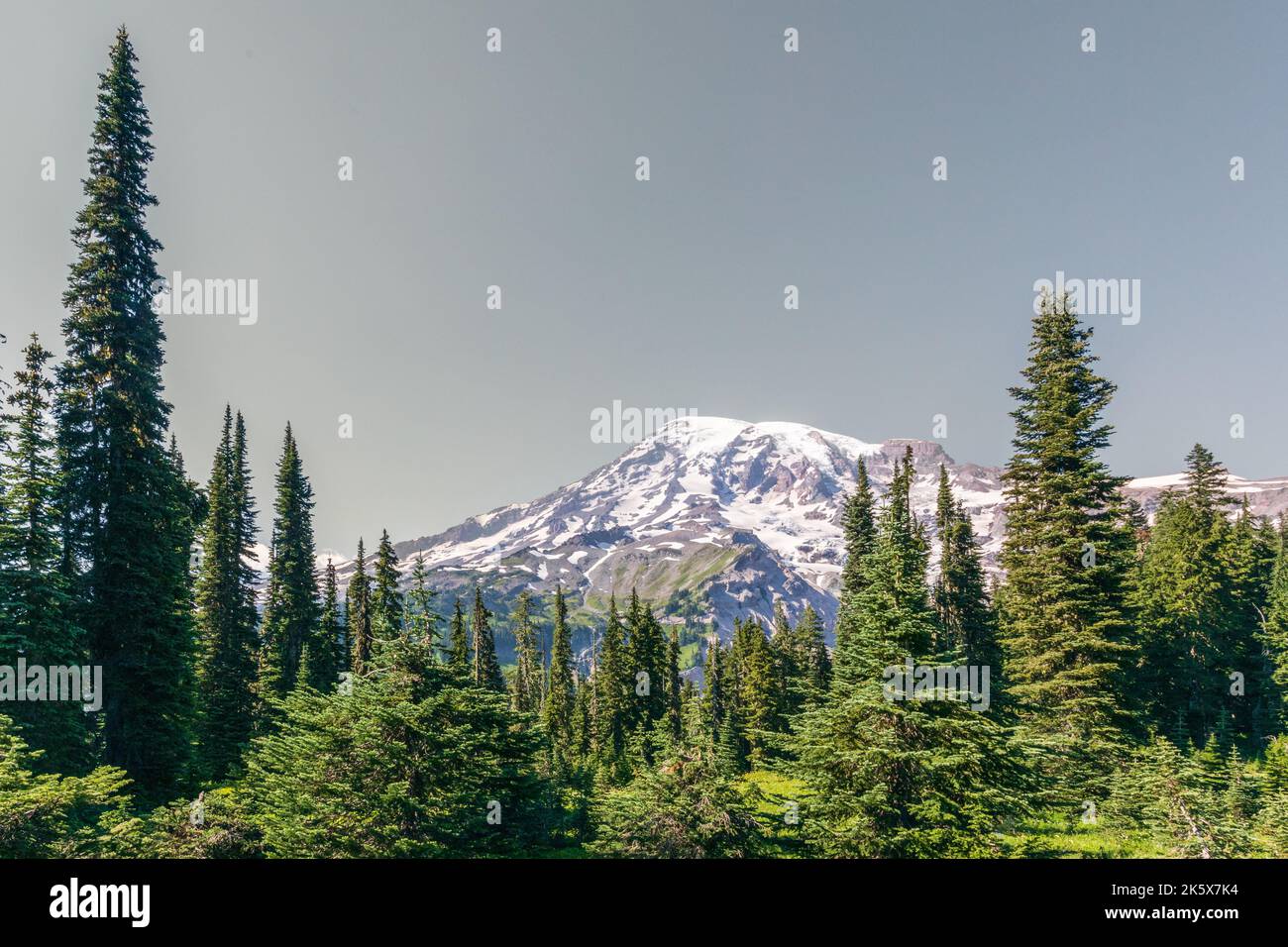 Mount Rainier Nationalpark, Washington State, USA Stockfoto