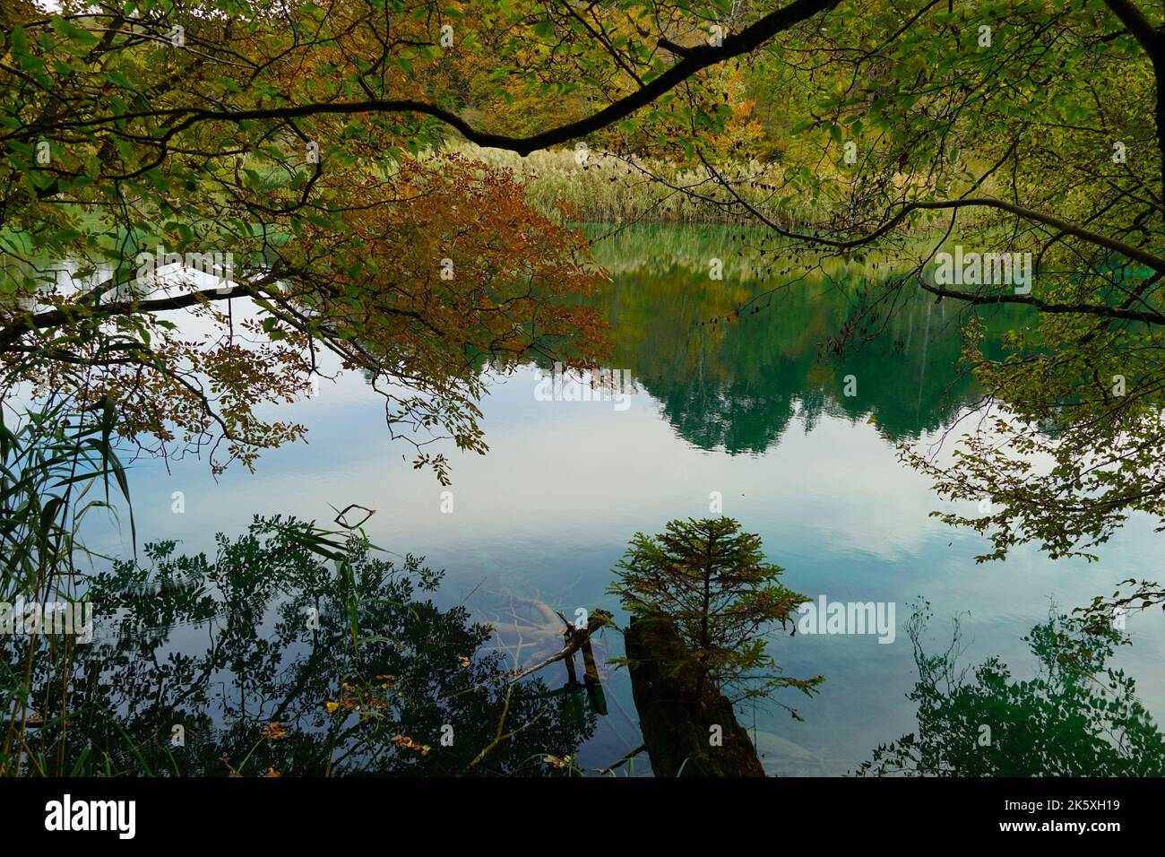 Farbenfrohes Herbstbild mit Spiegelung der Blätter im türkisfarbenen Seenwasser Stockfoto