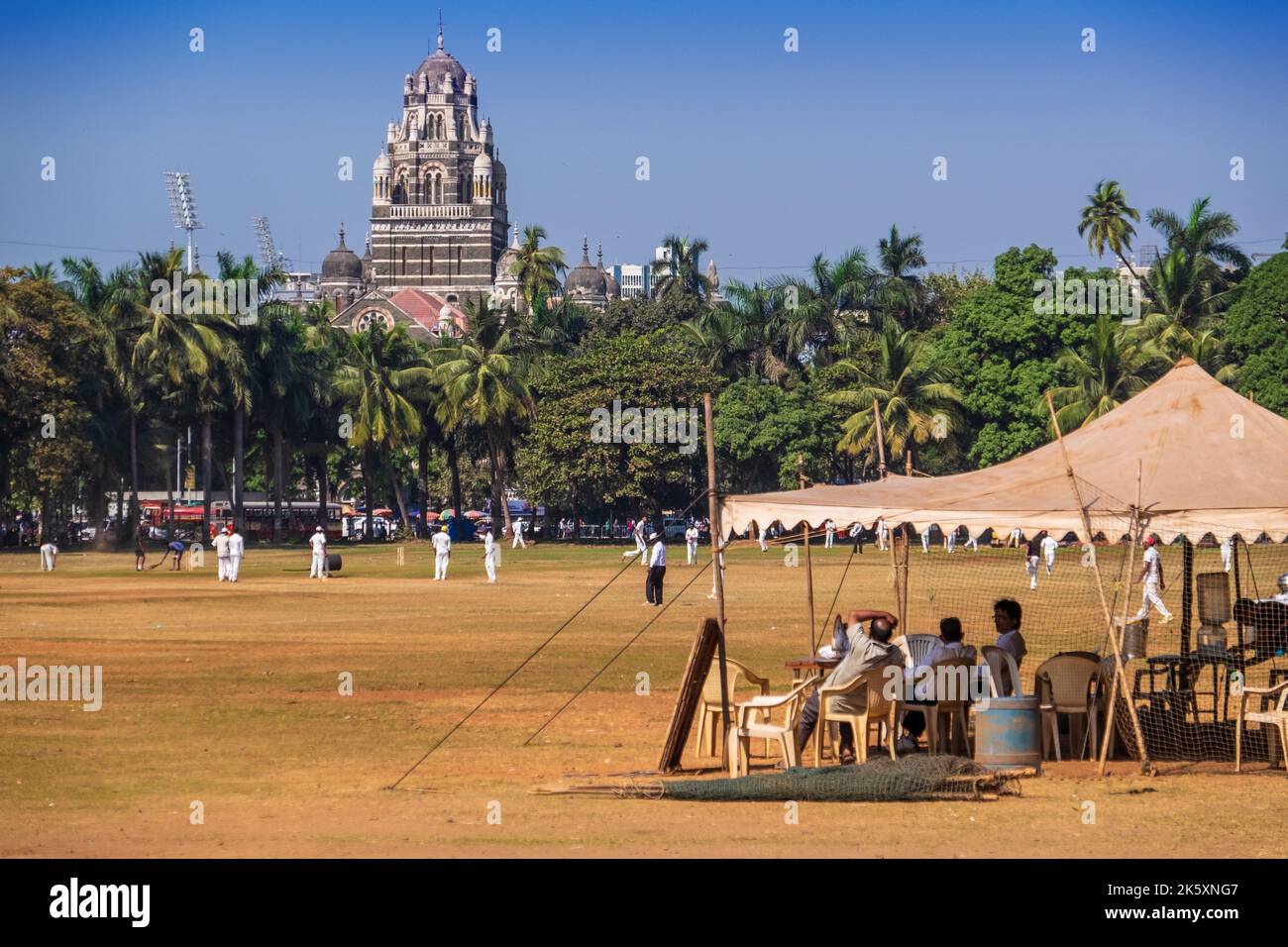 Cricket auf dem Oval Maidan in Mumbai / Bombay, Indien Stockfoto