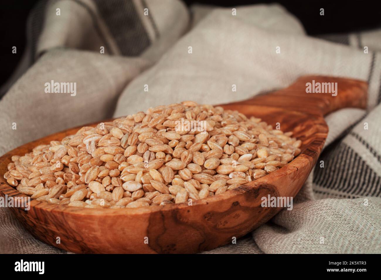 Getrocknete Samen essen auf einem Holzlöffel Stockfoto
