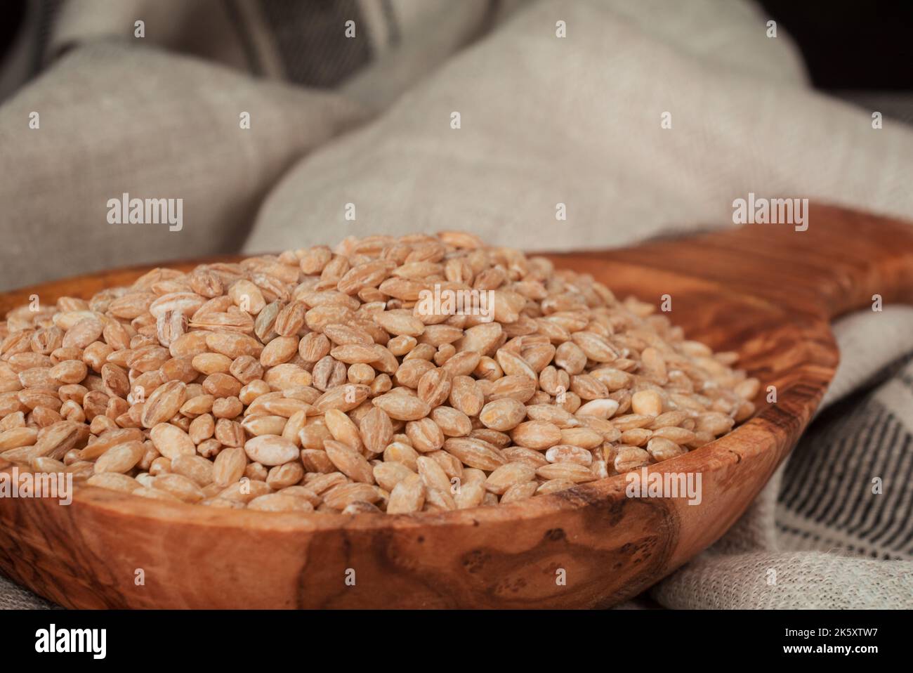 Getrocknete Samen essen auf einem Holzlöffel Stockfoto