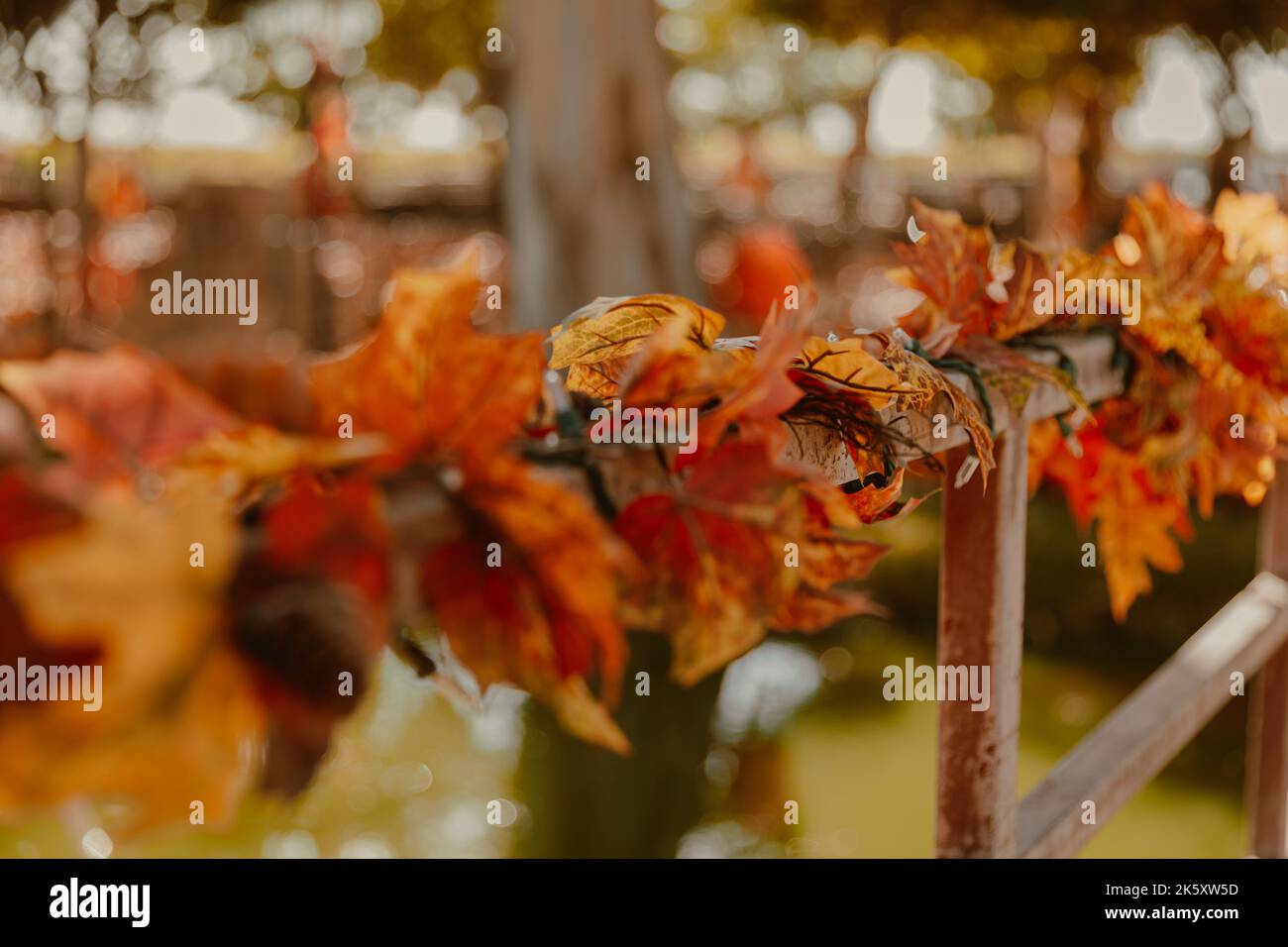 Eine selektive Fokusaufnahme einer Girlande aus Herbstblättern, die auf einem Holzgeländer gewickelt ist Stockfoto