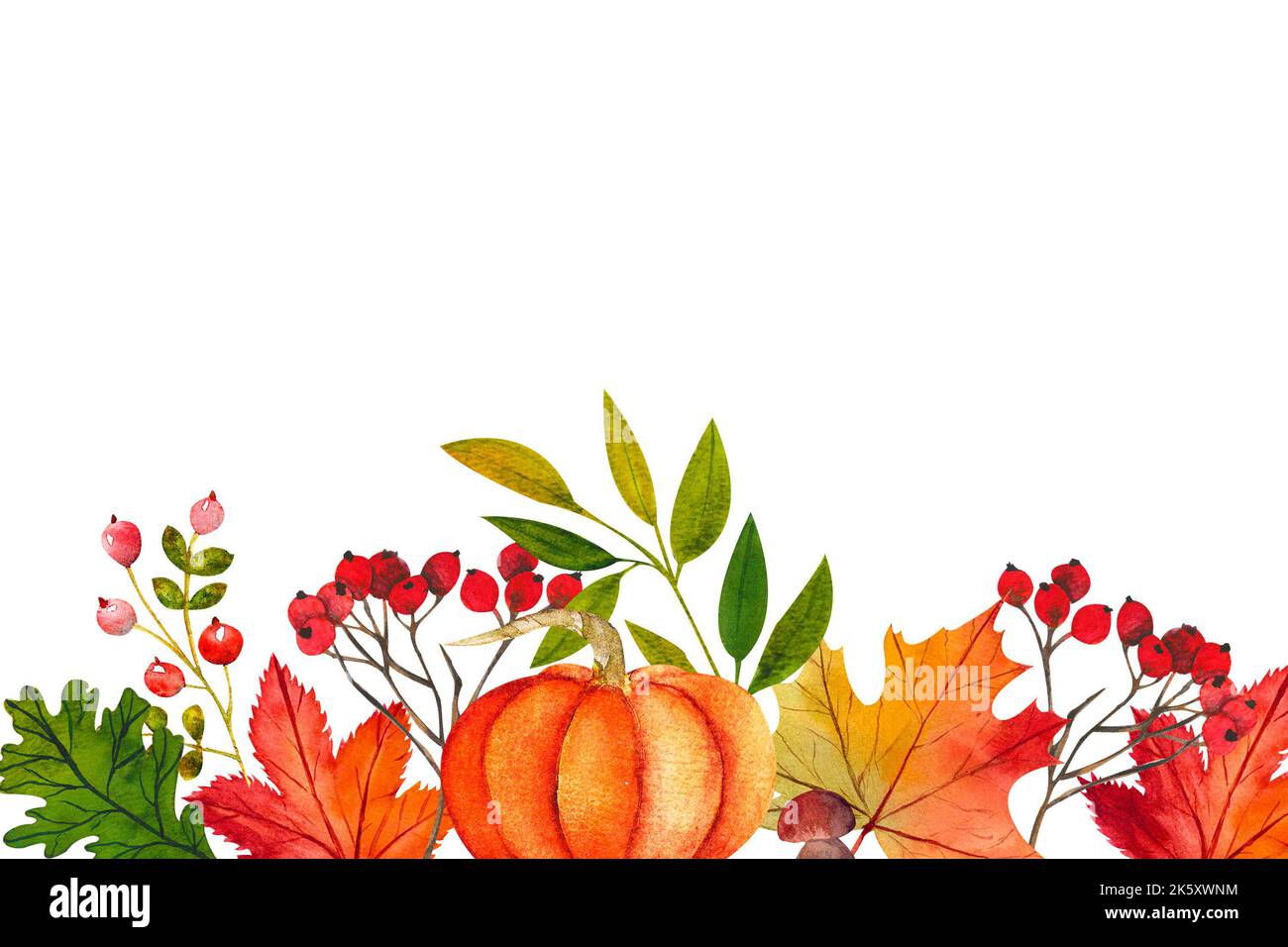 Herbstblätter, Obst und Gemüse Kürbis, Beeren. Thanksgiving horizontaler Rahmen Stockfoto