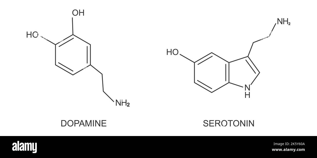 Symbole für Dopamin- und Serotonin-Verbindungen. Glücklich oder fühlen sich gut Hormone chemische molekulare Struktur auf weißem Hintergrund isoliert. Vektorgrafik Stock Vektor
