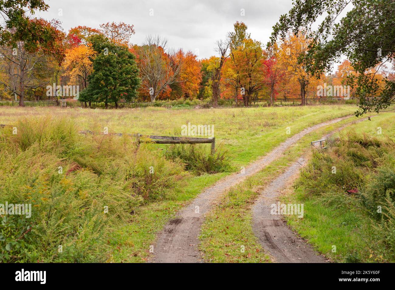 Wunderschöne Laub- und Herbstfarben ziehen das Hudson Valley und das Upstate New York besonders an. Stockfoto