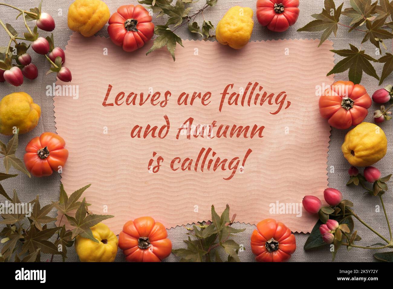Herbst-Flachlage, Rahmen aus Quitte, orangefarbenen Kürbissen, Ahornblättern, roten Beeren auf natürlichem Leinentextilien und beigem Papierhintergrund. Flach liegend Stockfoto