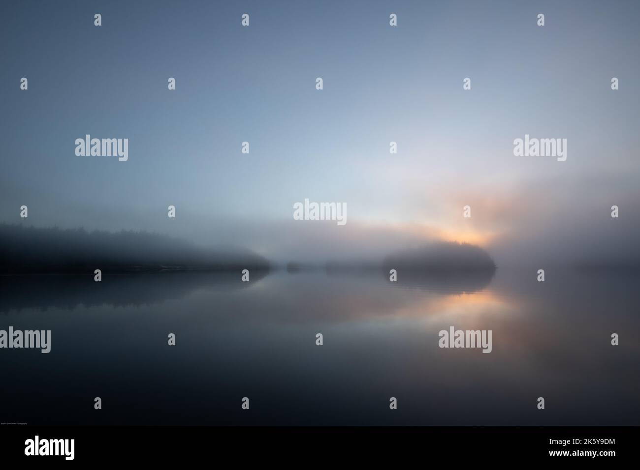 Morgennebel mit Sonne, die durch Wolken und Spiegelungen im Hafen, Blunden Harbour, British Columbia, Kanada, guckt. Nebel auf einem Hafen Stockfoto