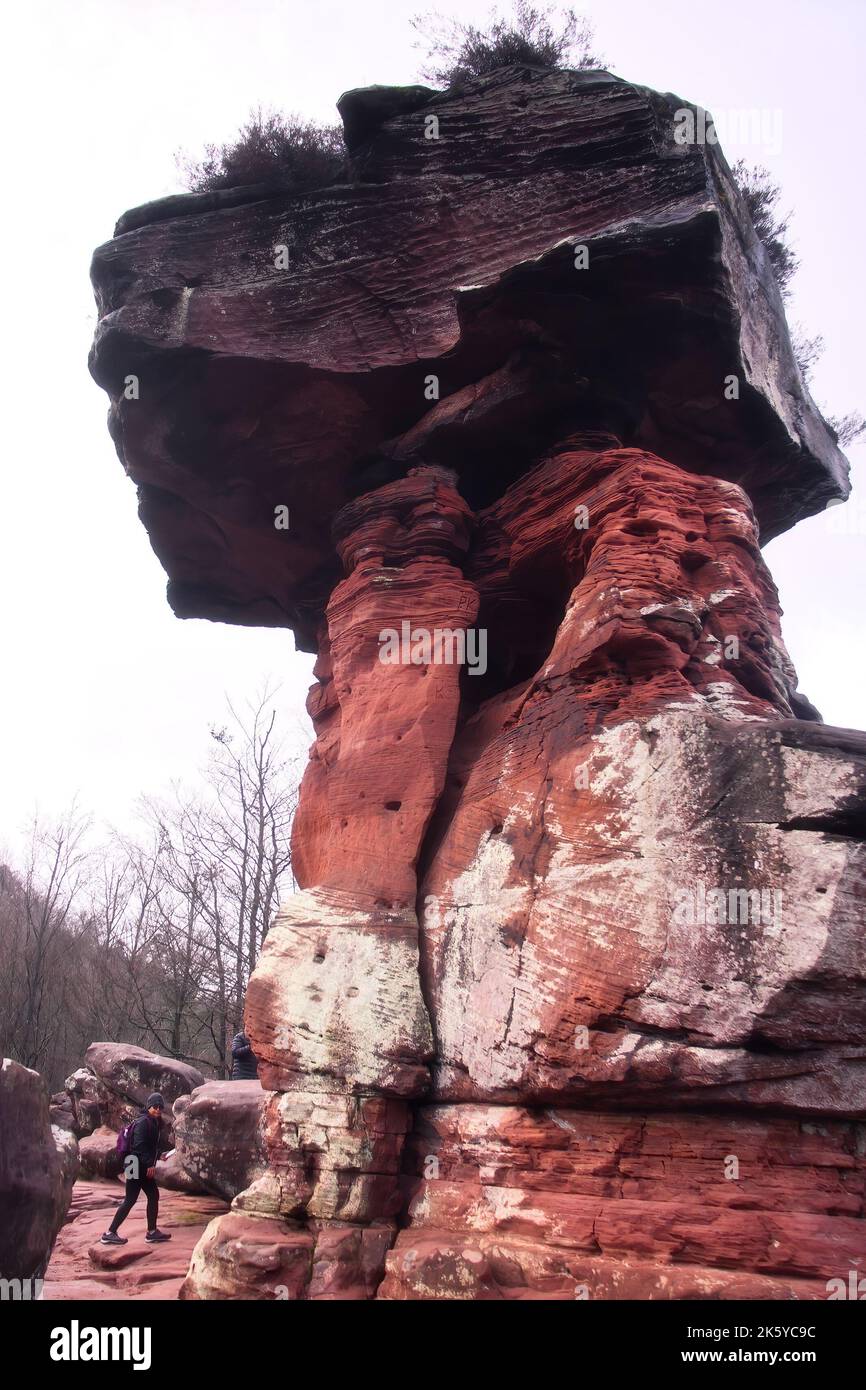 Frau, die an einem bewölkten Wintertag unter dem Teufelstisch steht, einer Felsformation im Pfälzer Wald in Deutschland. Stockfoto