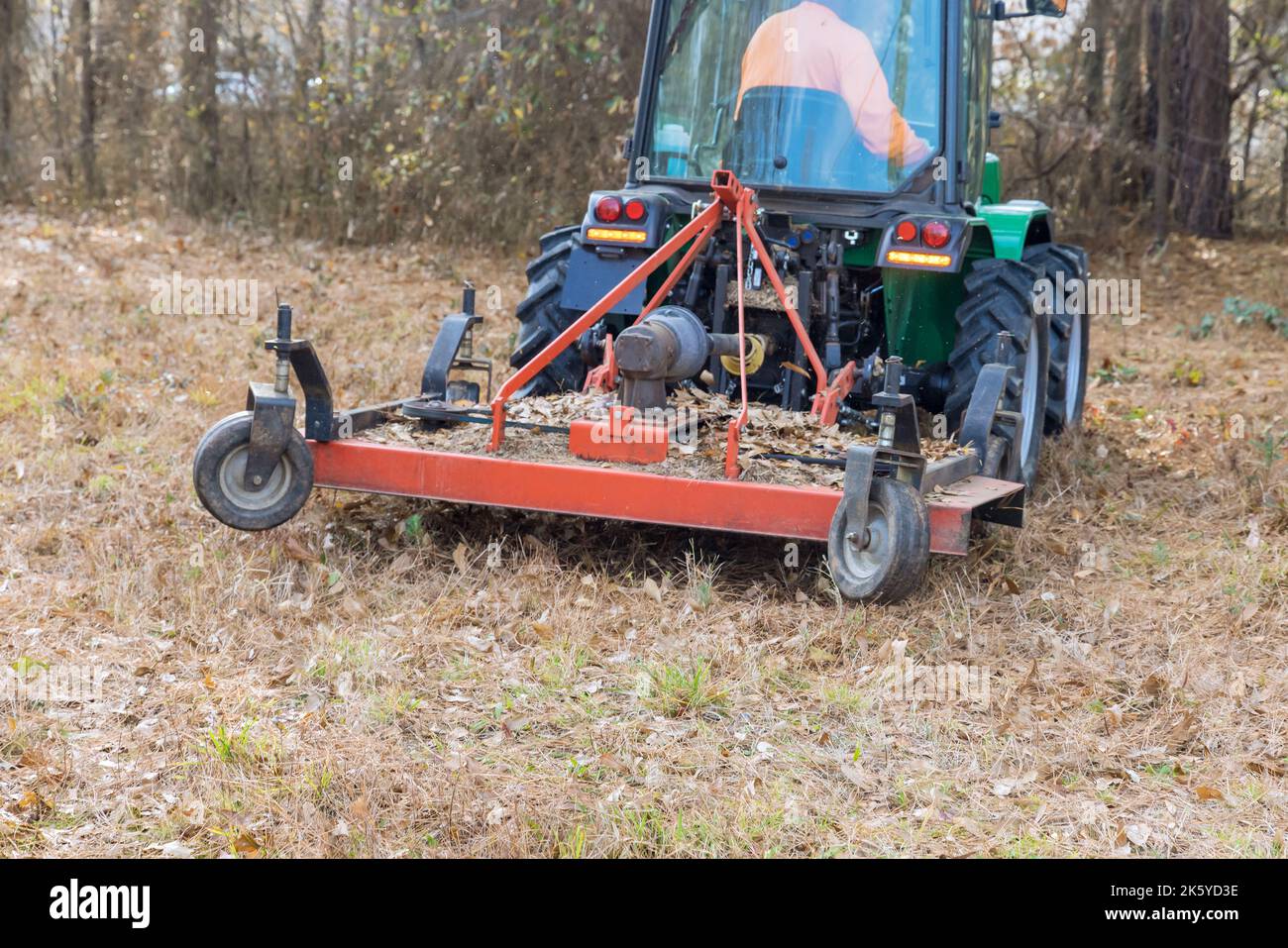 Im Herbst Traktor wird verwendet, um zu trimmen entfernen kleine Äste, die dort gewachsen sind Stockfoto
