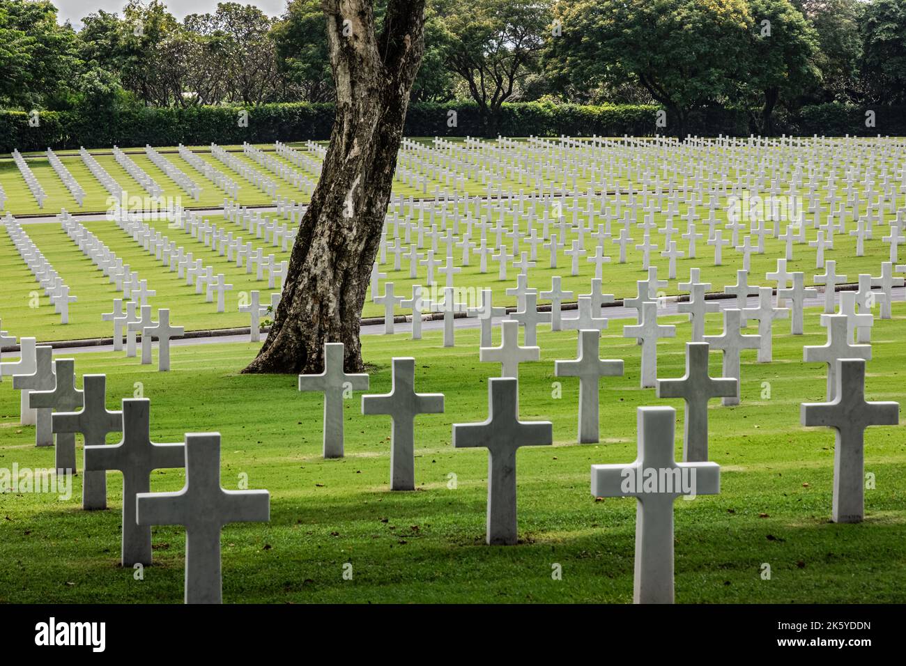 Manila American Cemetery and Memorial, auf dem Mitglieder der amerikanischen und philippinischen Streitkräfte, die WW2 auf den Philippinen getötet wurden, verfielen Stockfoto