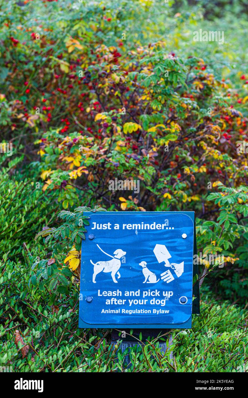 Ein Erinnerungszeichen, um nach deinem Hund aufzuräumen. Steveston British Columbia, Kanada Stockfoto