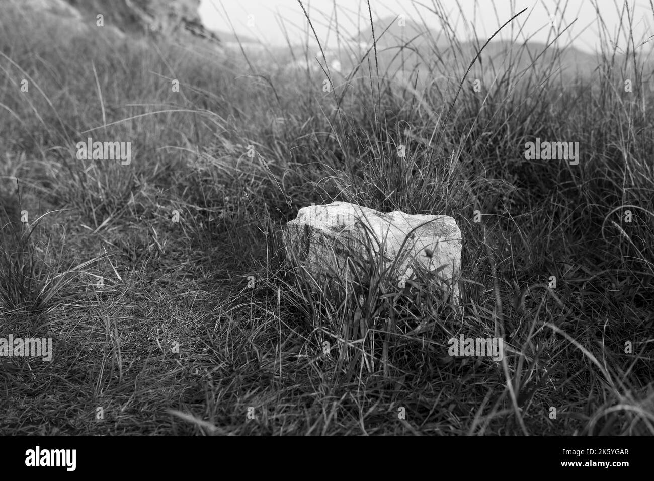 Monochrome Phonographen Stockfoto