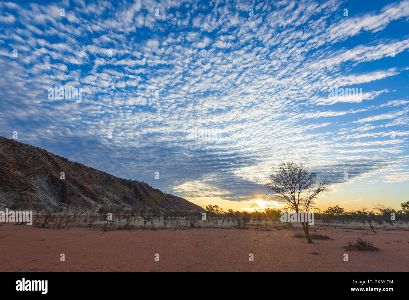 Atemberaubender Sonnenuntergang mit Makrelenhimmel über der Arookara Range, Simpson Desert, Australian Outback, Northern Territory, NT, Australien Stockfoto