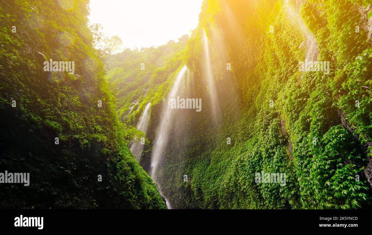 Majestätischer Blick auf den Madakaripura Wasserfall Stockfoto