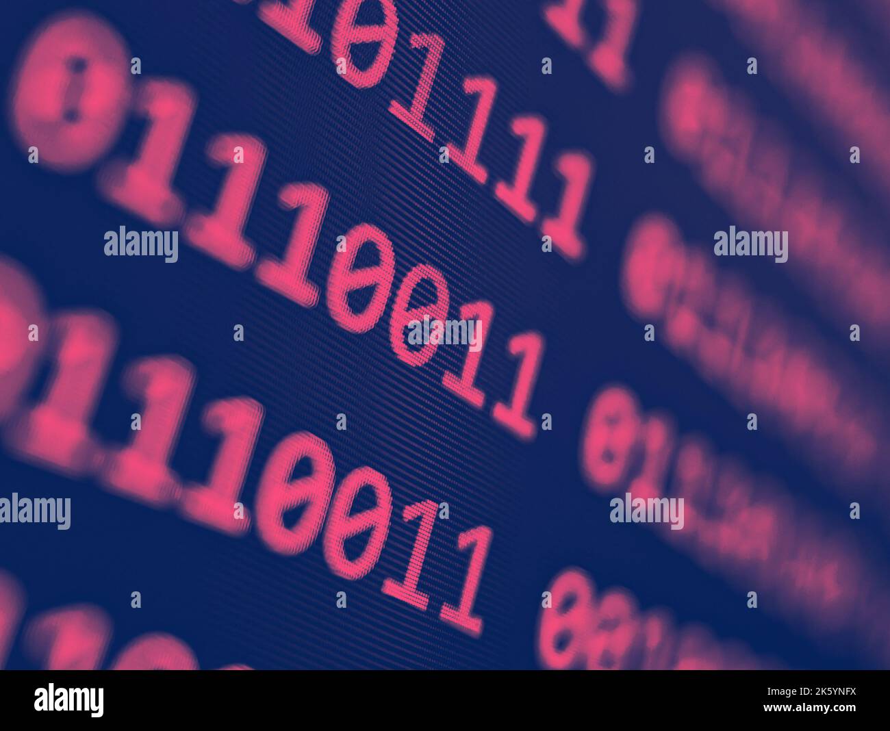 Binärer Computercode mit rosafarbenem 1s und 0s-Raster, der auf einem blauen Bildschirm mit einem Fokus-Unschärfeeffekt angezeigt wird Stockfoto