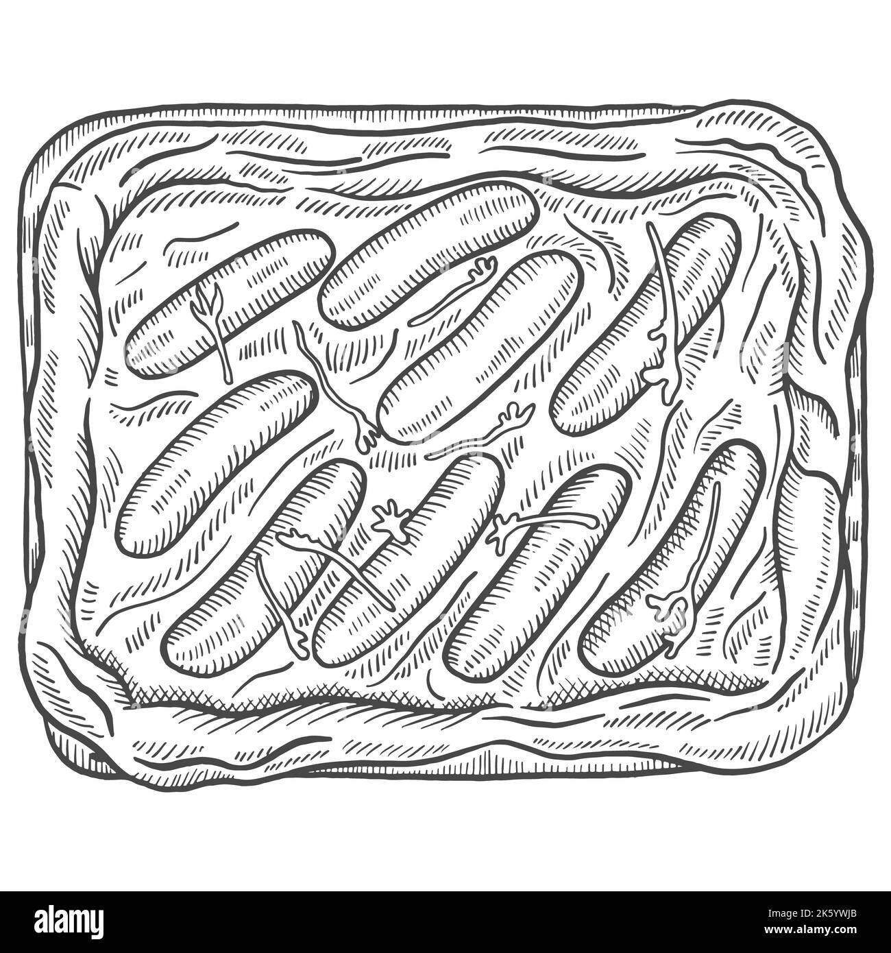 Kröten im Loch britische oder englische Küche isoliert Doodle handgezeichnete Skizze mit Kontur Stil Vektor-Illustration Stockfoto Kröten im Loch britische oder englische Küche isoliert Doodle handgezeichnete Skizze mit Kontur Stil Vektor-Illustration Stockfoto