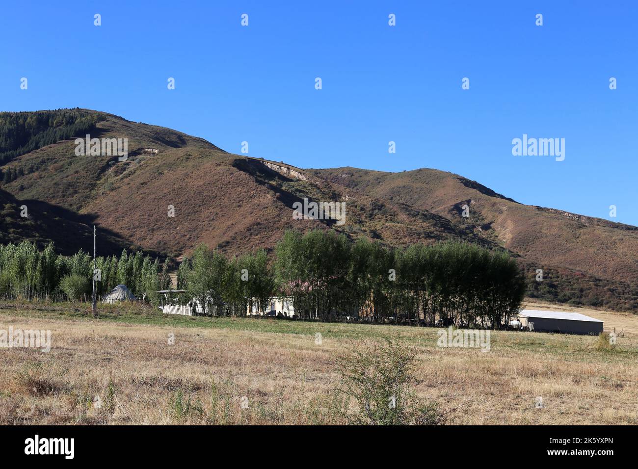 Kalmak Ashuu, Chong Kemin Valley, Tien Shan Mountains, Chui Region, Kirgisistan, Zentralasien Stockfoto