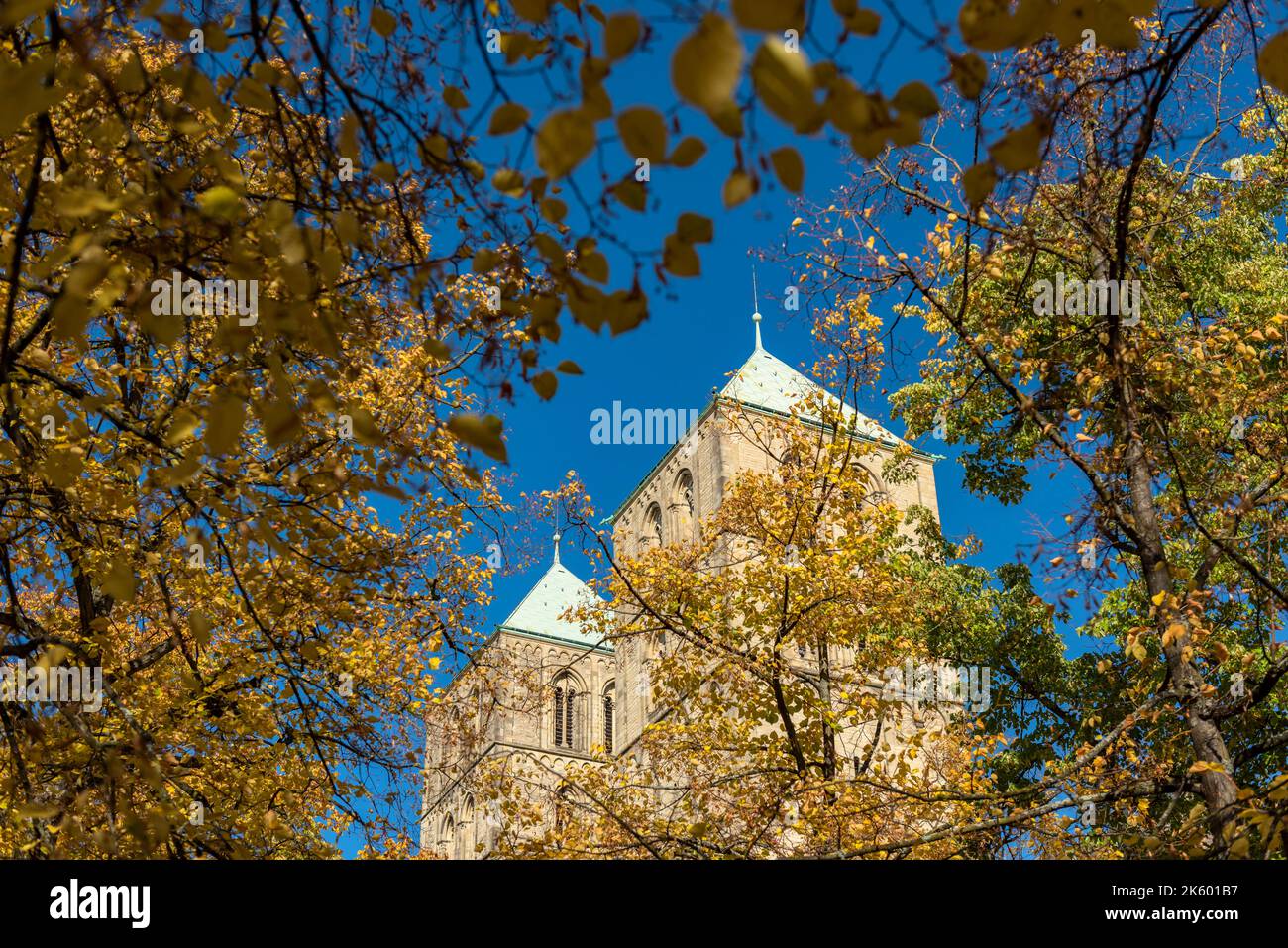 Dom in Münster Stockfoto