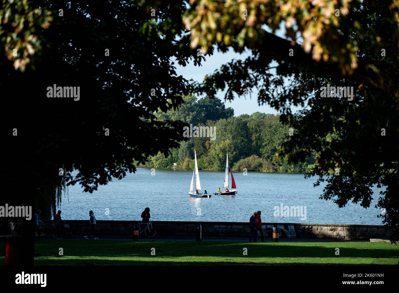 Segelboot auf dem Aasee Stockfoto