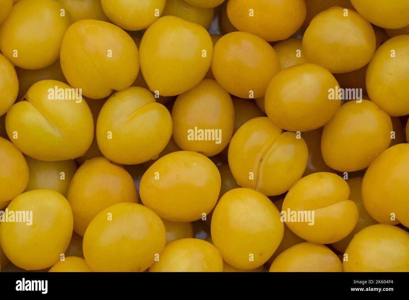 Frische reife, milde gelbe Pflaumen (Kirschpflaumen) Hintergrund Muster aus der Nähe Stockfoto