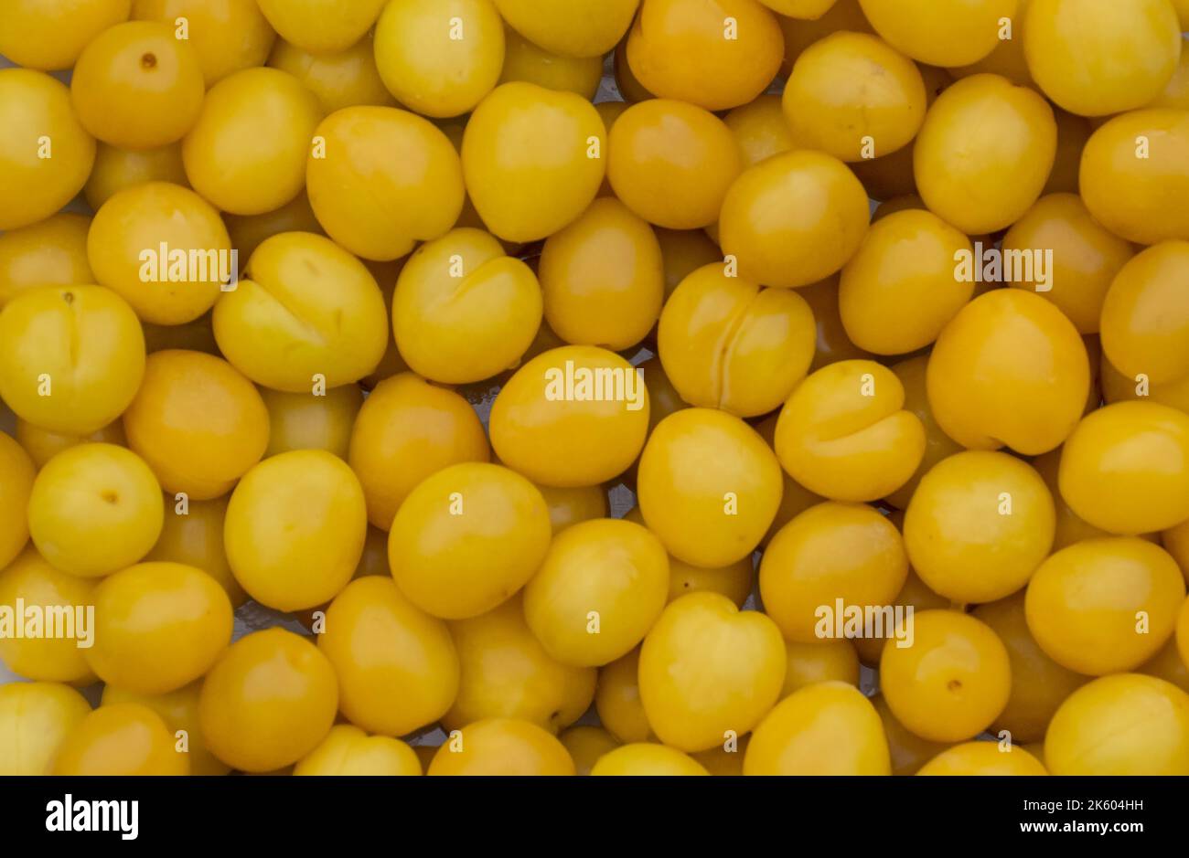 Frische reife, milde gelbe Pflaumen (Kirschpflaumen) Hintergrund Muster aus der Nähe Stockfoto