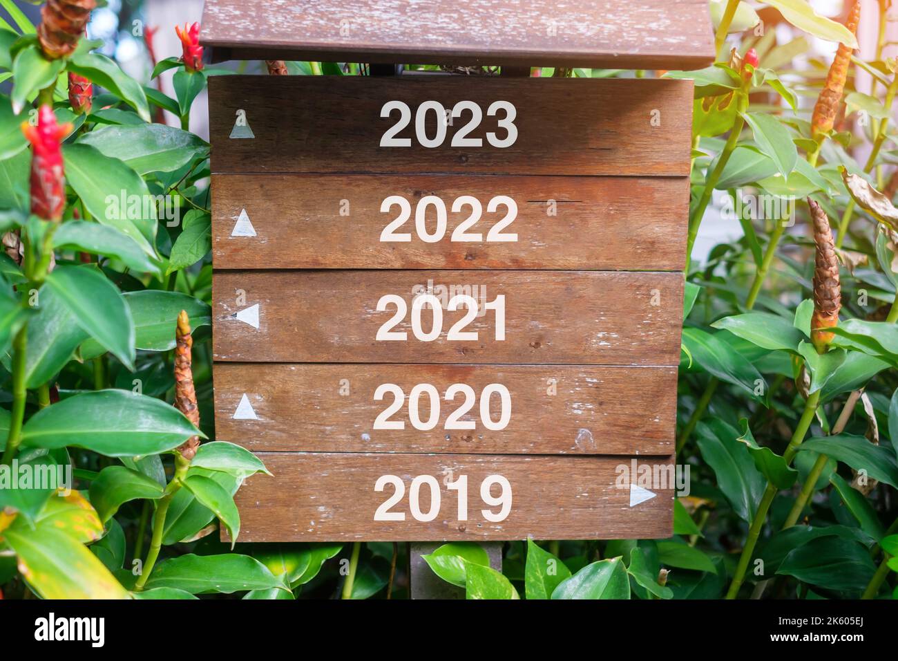 Holz-Wegweiser mit den Jahren 2023, 2022, 2021, 2020 und 2019, Wegweiser für die Zukunft wählen. Lösung, Strategie, Plan, Ziel, vorwärts, Motivation Stockfoto