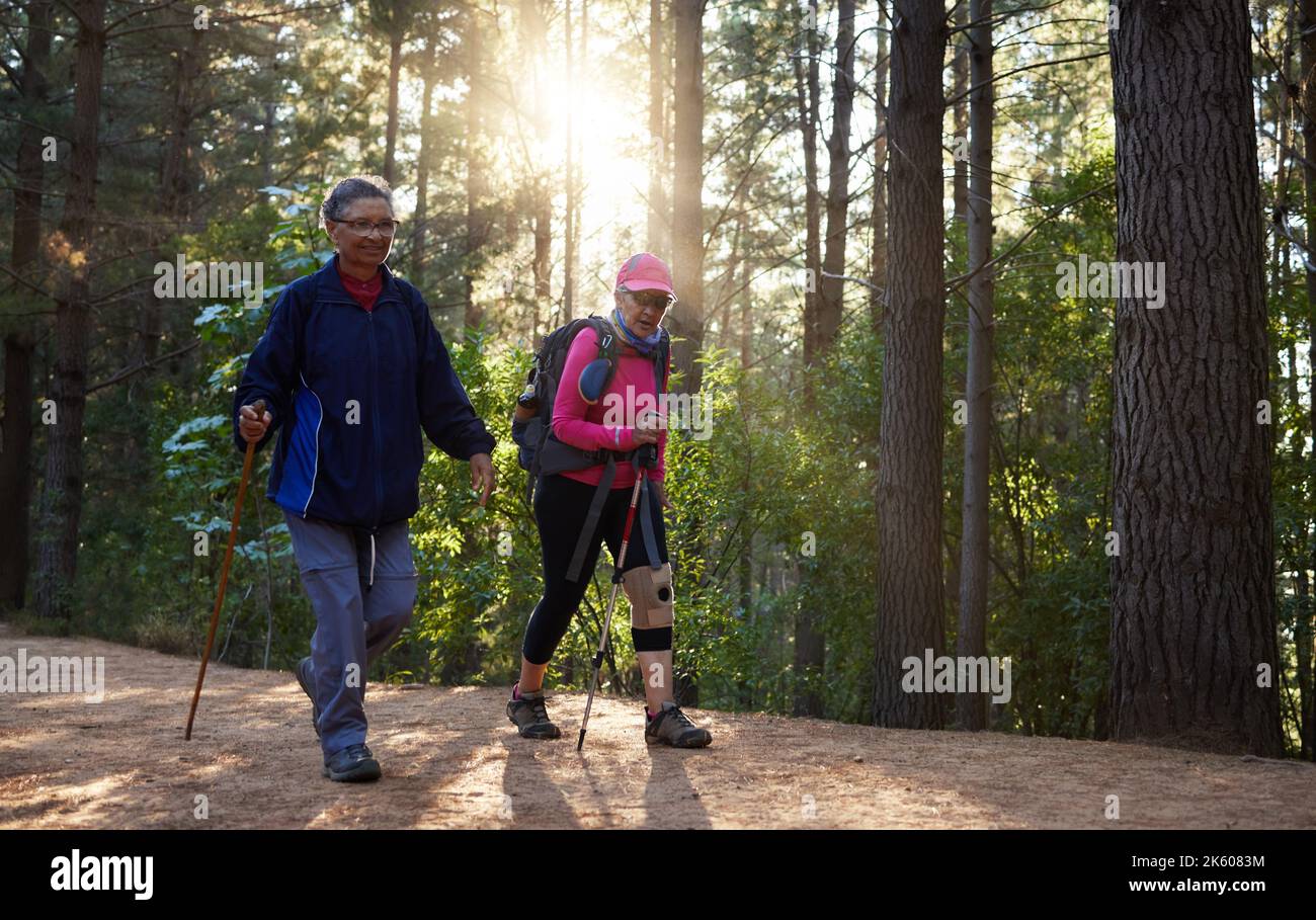 Wald, Fitness und altes Paar Wandern in der Natur mit Trekkingstöcken mit Rucksäcken auf einem Bergpfad. Pensionierung, Wanderer und ältere Frau zu Fuß Stockfoto