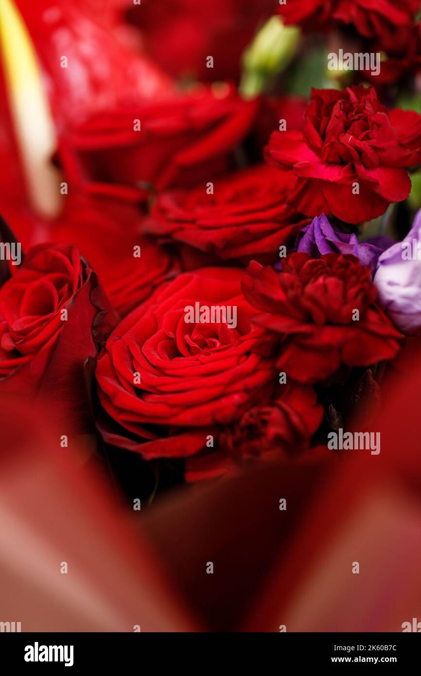 Schöner großer Strauß aus roten und violetten Blüten. Bouquet von Rosen