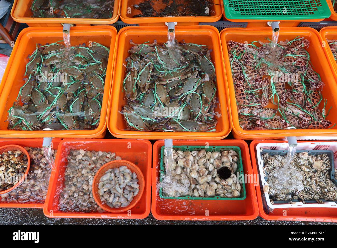 Taiwanesische Meeresfrüchte-Auswahl mit Schnecken, Muscheln und Krabben. Fischrestaurant in Keelung. Stockfoto