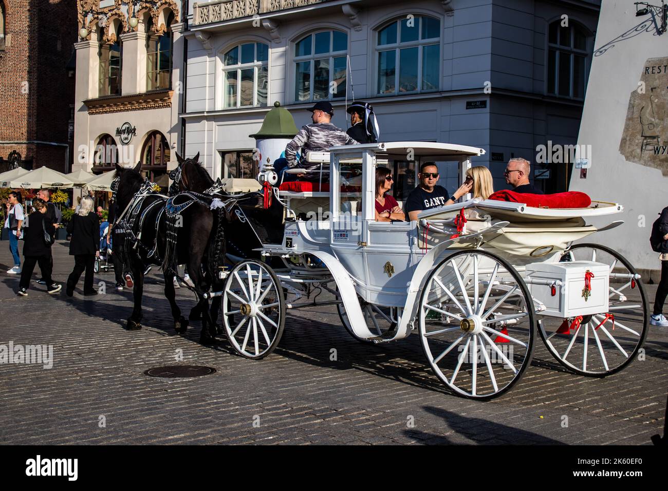 Krakau, Polen - 08. Oktober 2022 Pferdekutschenfahrten sind zu einer der Hauptattraktionen in Krakau geworden. Ihre sehr schöne Horse Drawn-Ausleihung Stockfoto