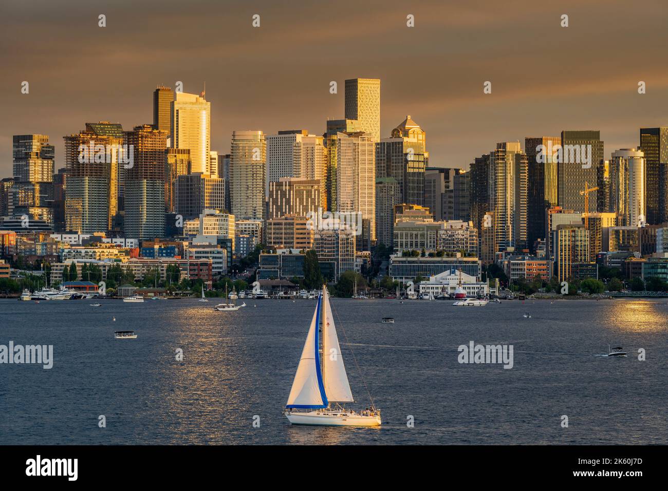 Panoramablick auf den Lake Union und die Skyline der Innenstadt, Seattle, Washington, USA Stockfoto