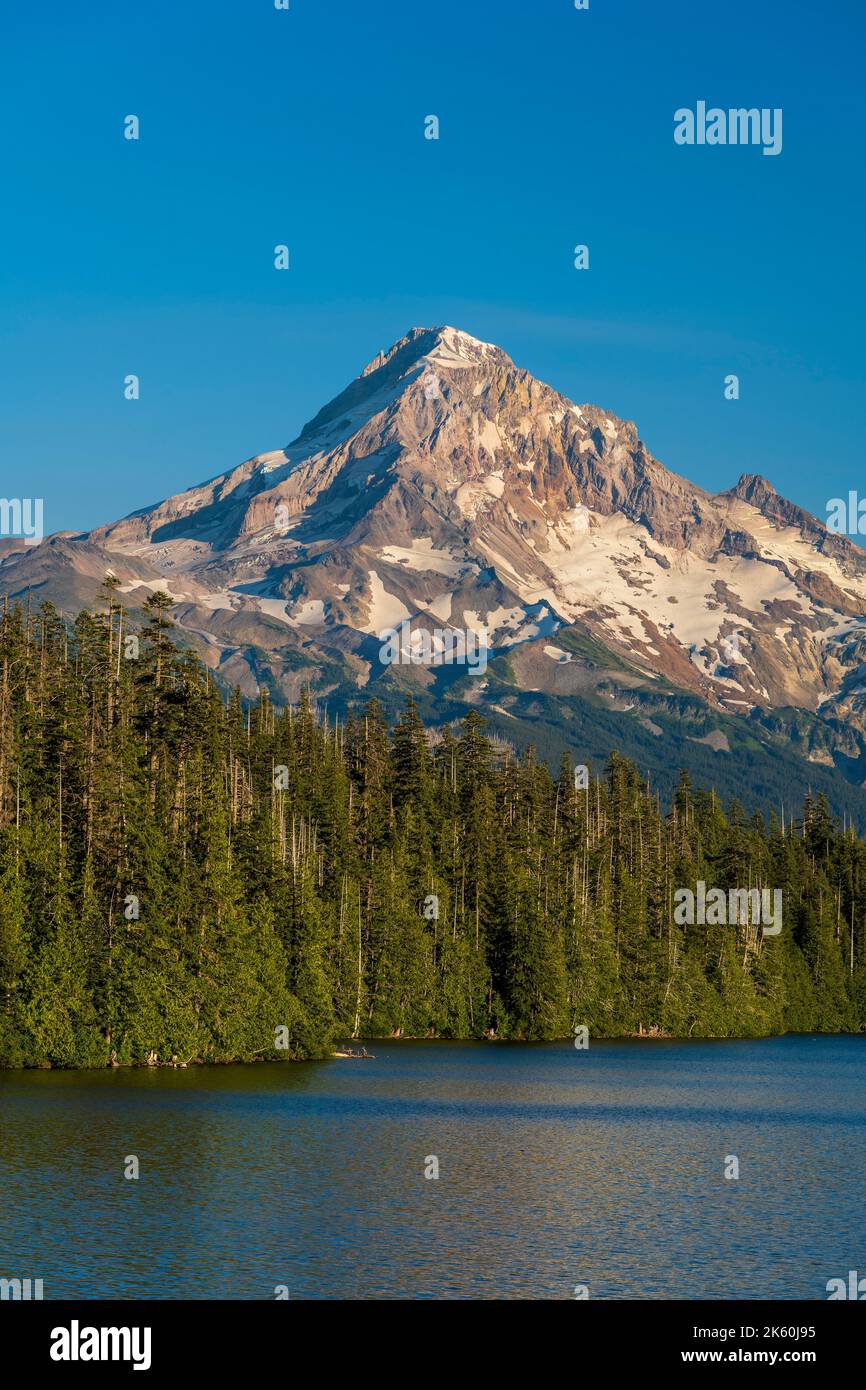 Malerische Aussicht auf Lost Lake mit Mount Hood im Hintergrund, Oregon, USA Stockfoto