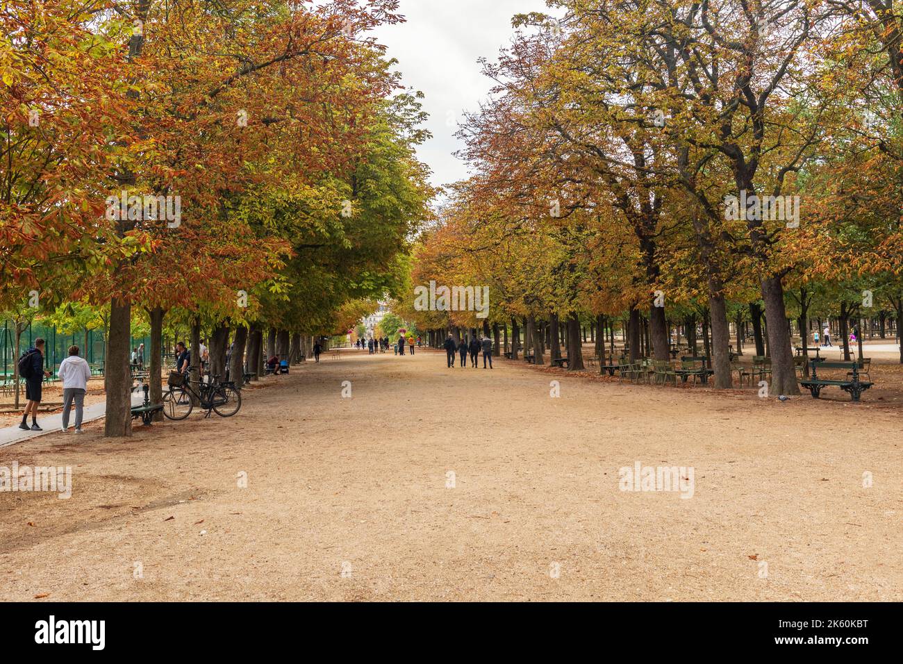 Menschen, die in der baumgesäumten Avenue des Jardin du Luxembourg (Jardin du Luxembourg), 6. Arrondissement von Paris, Frankreich, Europa, spazieren gehen. Anfang Herbst Stockfoto