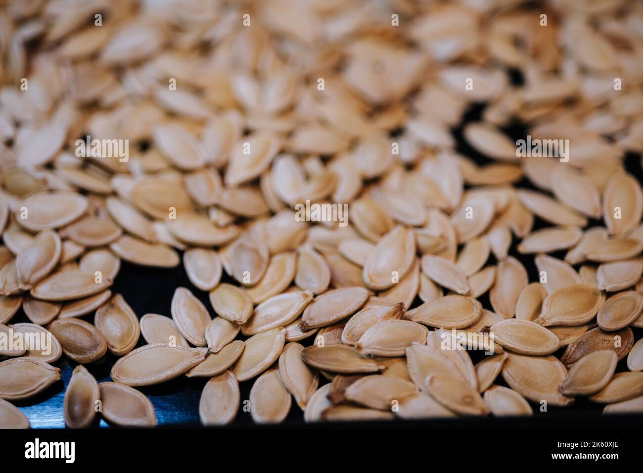 Über das Backblech geröstete Kürbiskerne in Schale gestreut Stockfoto