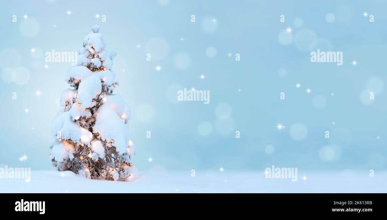Schneebedeckter Baum mit Lichtern. Weihnachten und Neujahr Hintergrund. Stockfoto