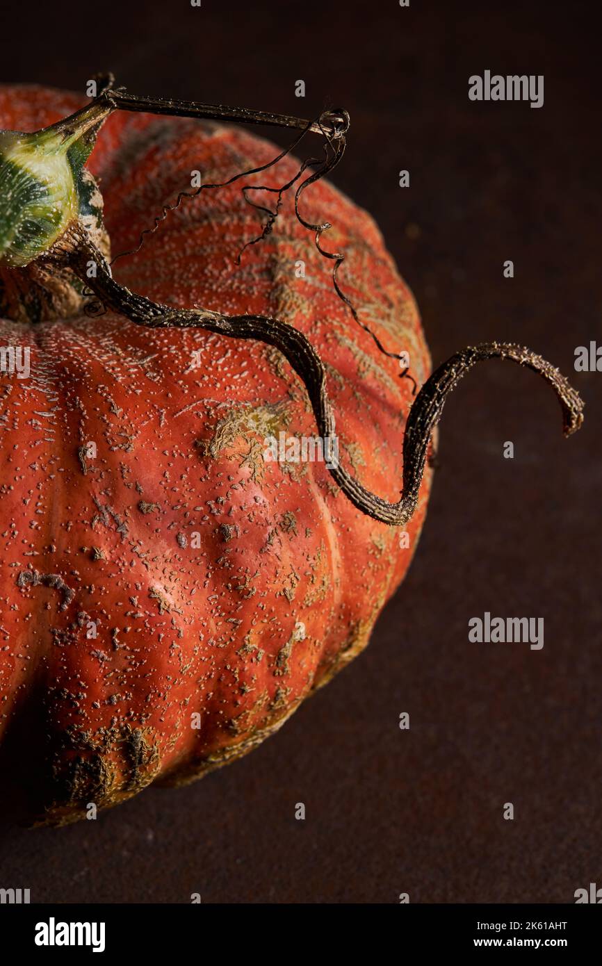 Von oben ganzer reifer Kürbis mit leicht gerippter Haut auf Holztisch gelegt Stockfoto